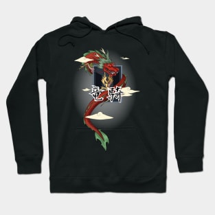 Dragreder Kamen Rider Ryuuki/Dragon Knight Hoodie